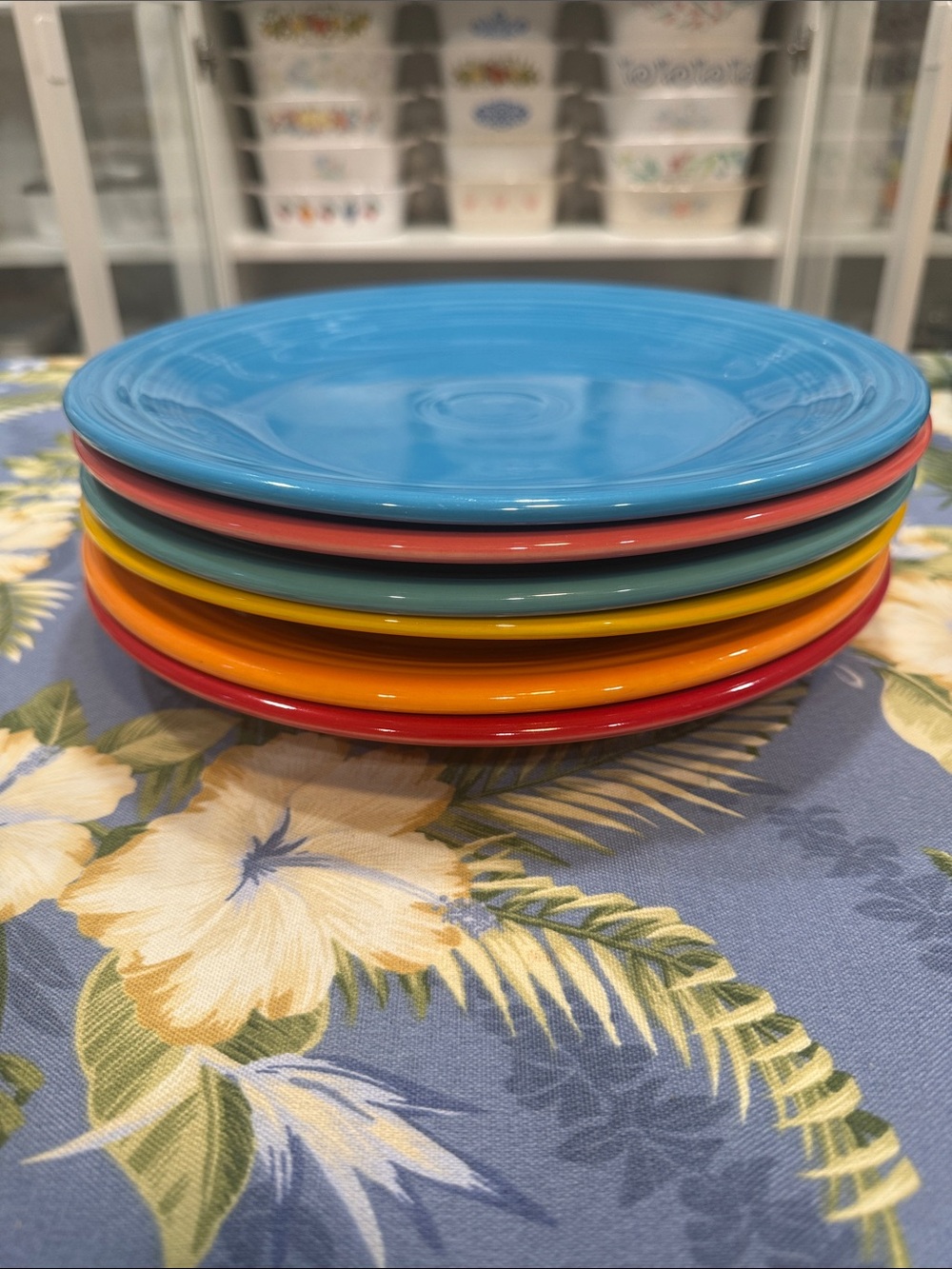 Fiestaware Multi-Color Ceramic Dinner Plate Set of six Bright color